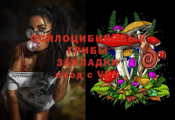 молекула духа Алексин