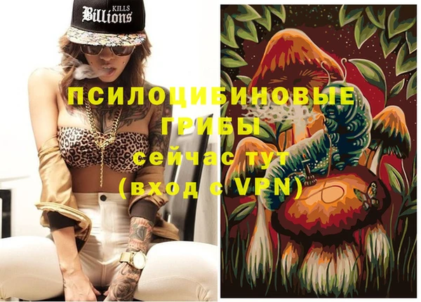 молекула духа Алексин